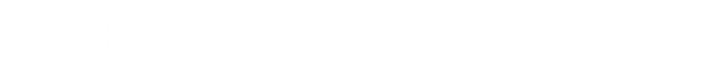 The Cyber Foundation